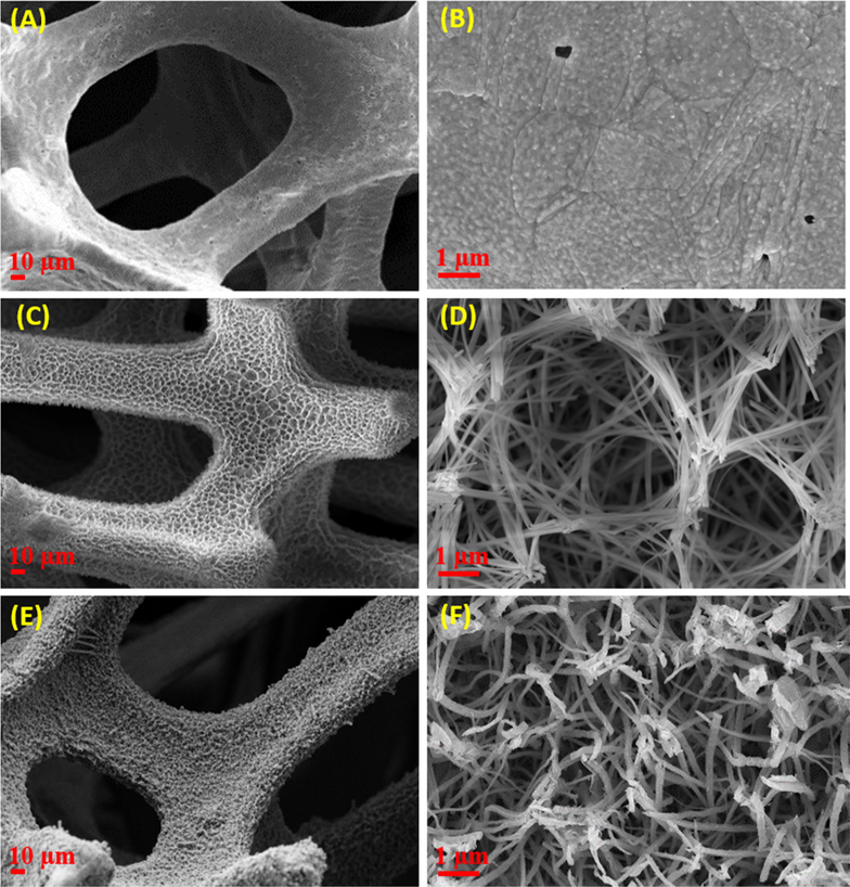 FE-SEM images at different magnifications of (A and B) bare 3D-Cu foam, (C and D) CuOH NWs/3D-Cu foam, and (E and F) CuO NWs/3D-Cu foam hybrid.