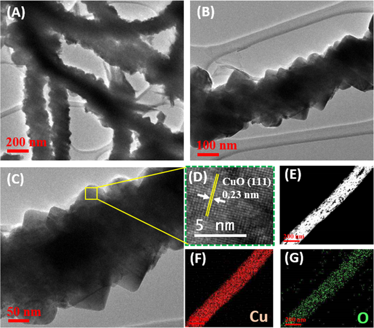 (A–C) TEM images of the CuO NWs on 3D-Cu foam; (D) HR-TEM image of the CuO NW; (E) Scanning TEM image of the CuO NW and the corresponding EDS color mapping of (F) Cu and (G) O element.