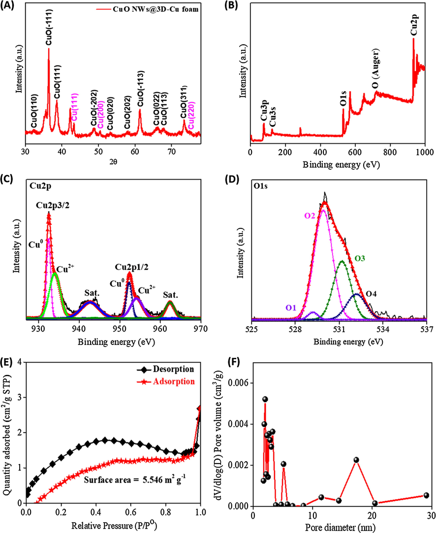 (A) XRD spectrum and (B) The surveyed XPS spectrum of the CuO NWs/3D-Cu foam; (C) High resolution XPS spectrum of Cu2p in CuO NWs; (D) High resolution XPS spectrum of O1s in CuO NWs; (E) Nitrogen adsorption-desorption isotherms of the CuO NWs/3D-Cu foam; (F) Pore distribution of the CuO NWs/3D-Cu foam.