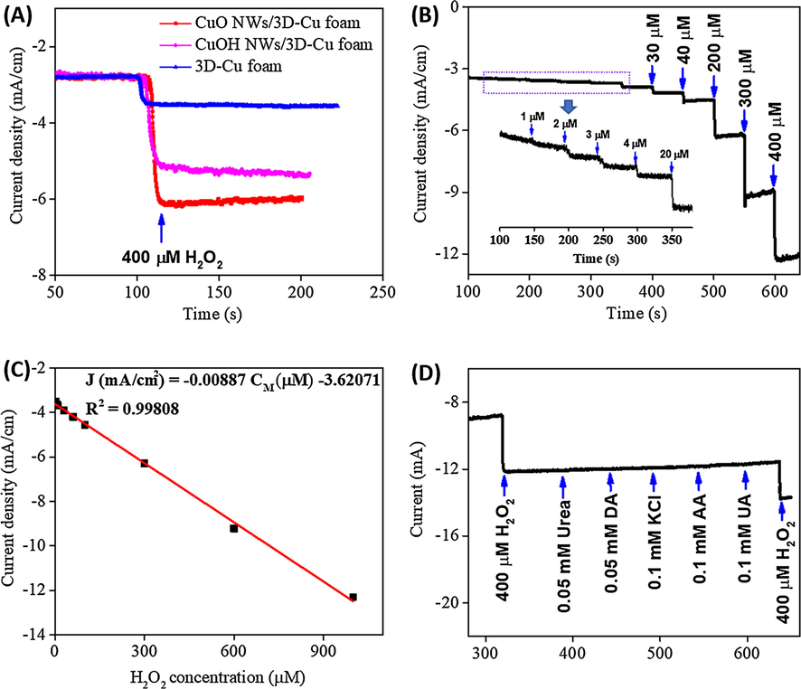 (A) Amperometry measurements of different materials at an applied potential of −0.4 V in 0.1 M PBS solution with the addition of 0.4 mM H2O2; (B) Amperometry response of the CuO NWs/3D-Cu foam electrode at an applied potential of −0.4 V in 0.1 M PBS solution with the addition of different H2O2 concentrations; (C) The fitting curve based on amperometry current response vs H2O2 concentration; (D) The selectivity of the CuO NWs/3D-Cu foam electrode.