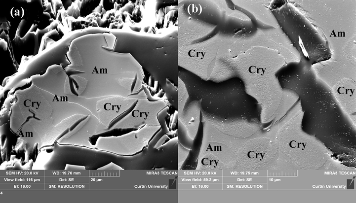 Low-magnification secondary-electron SEM images show amorphous and crystalline titania areas for (a) In-doped TiO2 nanopowders and (b) In-Cr co-doped TiO2 nanopowders. [Am: amorphous area and Cry: crystalline area (anatase and rutile)].