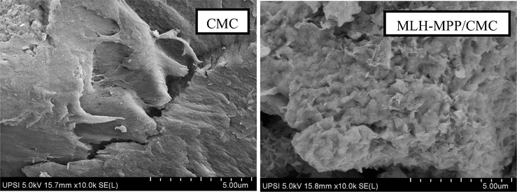 The FESEM micrograph of CMC and MLH-MPP/CMC nanocomposite at 10 k magnification.