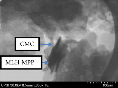 TEM micrograph of MLH-MPP/CMC nanocomposite at 300 k magnification.