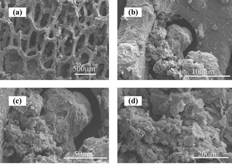 SEM images of PPy-rGO/Ni electrodes at different magnifications (a) 50× (b) 500× (c) 1000× (d) 2000×.