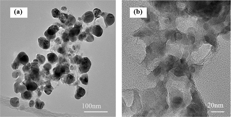 TEM images of different magnification of PPy-rGO/Ni electrodes.