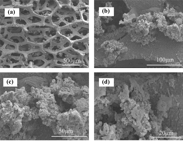 SEM images of Pd/PPy-rGO/Ni electrodes at different magnifications (a) 50× (b) 500× (c) 1000× (d) 2000×.