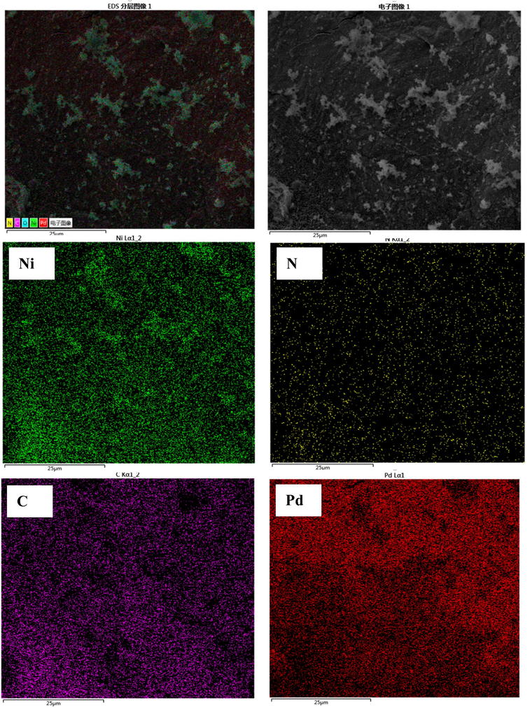 SEM mapping of Pd/PPy-rGO/Ni electrode.