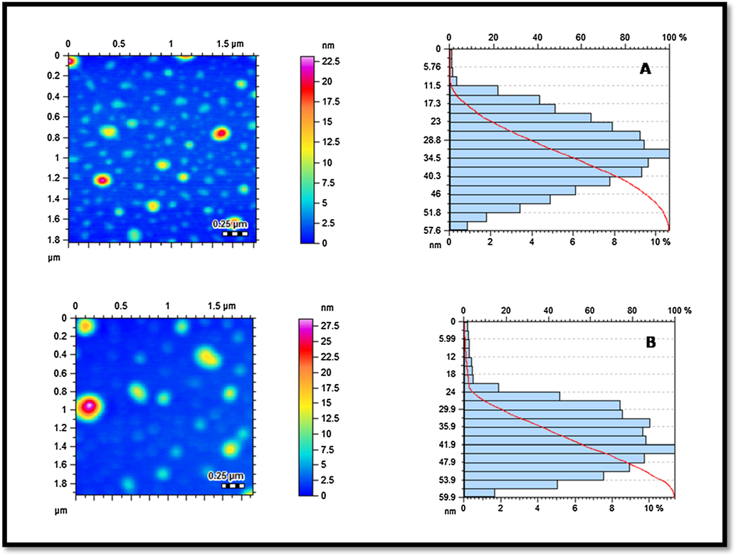 Atomic force microscopy (AFM) analysis of AuNPs: topographical images and histograms (A) AuC6NPs; and (B) AuC8NP.