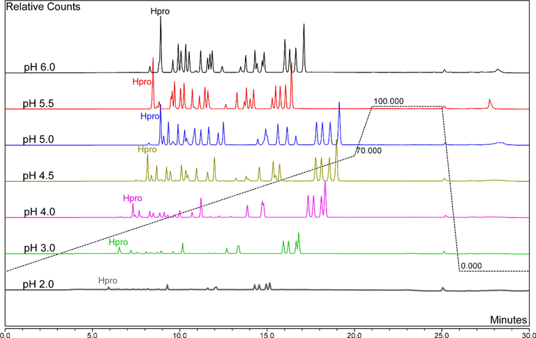 Chromatograms of the optimised HPLC-fluorescence method. Solvent A contained 5 mM ammonium acetate (pH 5.03) and solvent B was 60% acetonitrile. The buffer ranged from pH 2.0 to 6.0 and column temperature was 35 °C. The gradient was 0.0% solvent B at 0.0 min, 70% solvent B at 20 min, 100% solvent B at 21 min, 100% solvent B at 25 min and 0.0% solvent B at 26 min. Total run time was 30 min and flow rate 1.0 mL/min. “Hpro” represents the peak for hydroxyproline and all peaks have normalised to the same scale.