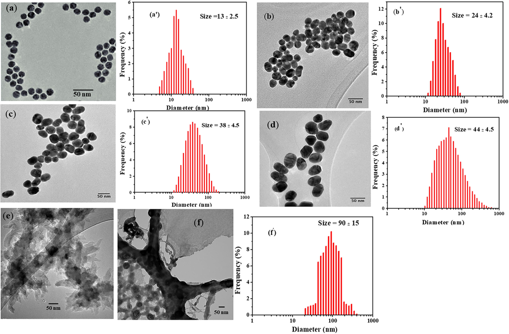 TEM images and size distribution curves of citrate capped gold nanoparticles after incubating 0.5 mL (a & a′), 1 mL (b & b′), 1.5 mL (c & c′) and 3 mL (d & d′) citrate solution; (e) Pure PANI nanostructure and (f & f′) AuNP-PANI nanocomposite.