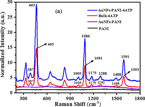 Raman Spectra of PANI (black line), AuNP-PANI (violet line), bulk 4-ATP (violet line) and SERS spectrum of 4-ATP absorbed on AuNP-PANI surface (blue line). AuNP-PANI was immersed in 0.1 mM 4-ATP solution (ethanol) and then dried in air.