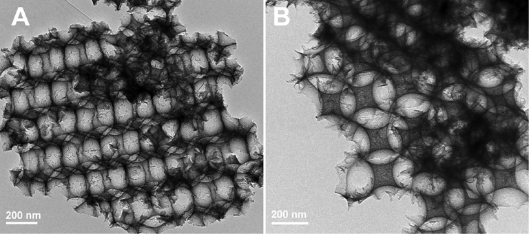 TEM images of HPW/15Ce-TiO2.