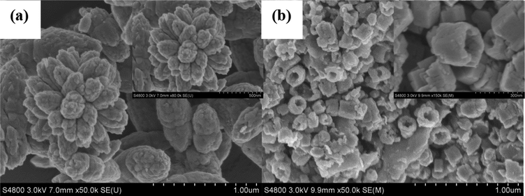 FESEM images of (a) flower-like ZnO and (b) hexagonally ring-like ZnO, the inset is an enlarged SEM image of the corresponding ZnO products.