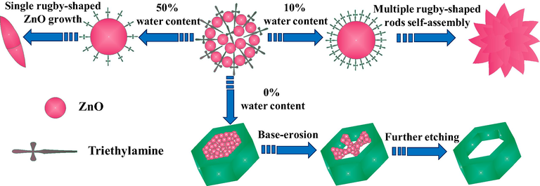 Schematic illustration of the flower-like ZnO and hexagonal ring-like ZnO.