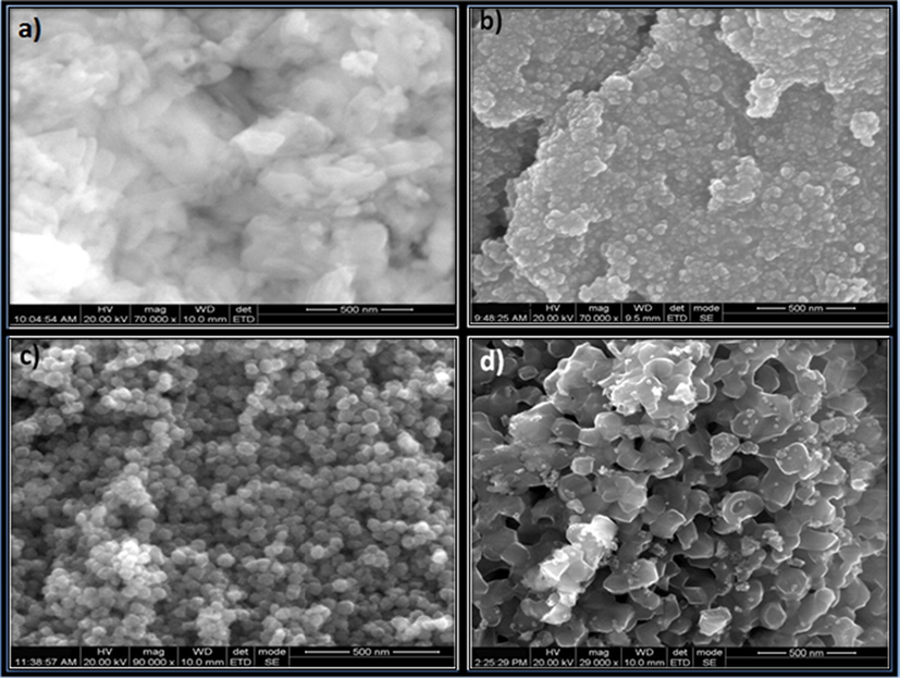 SEM images of (a) NiO, (b) N2P, (c) N4P and (d) N6P.