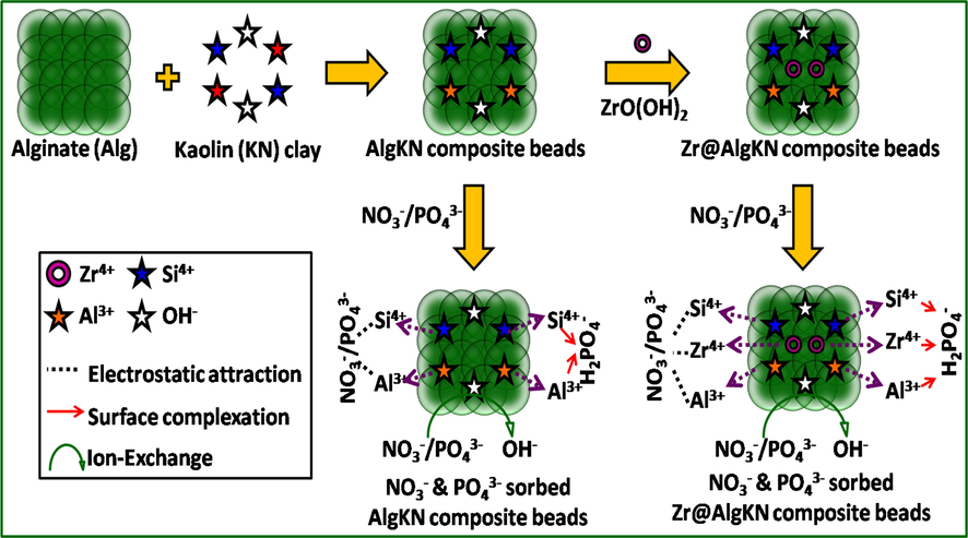 The possible adsorption mechanism of NO3− and PO43− using in situ and hydro assisted Zr@AlgKN composite beads.