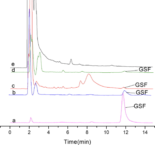 Detection of GSF in real plasma samples. (a): Griseofulvin standard (10 µg/mL); (b): plasma sample collected at 5 hrs., after a 50 mg/kg oral dose of griseofulvin, treated with SMISPE; (c): plasma sample collected at 5 hrs., after a 50 mg/kg oral dose of griseofulvin, treated with SNISPE; (d): plasma sample collected at 5 hrs., after a 50 mg/kg oral dose of griseofulvin, treated with C-18, SPE; (e): blank plasma.