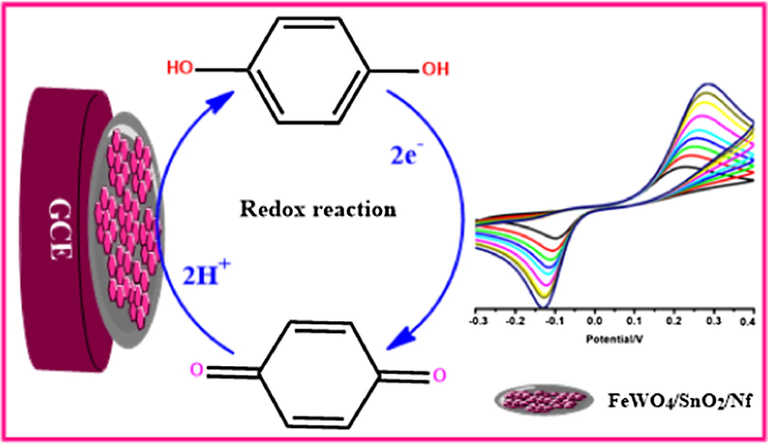 The plausible electrocatalytic mechanism of HQ on of FeWO4/SnO2/Nf immobilized modified GC electrode.