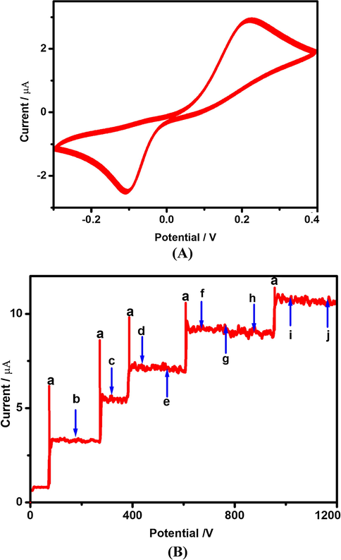 (A) Cyclic voltammetric response of FeWO4/SnO2/Nf immobilized modified GC electrode (30 cycles) confirming the stability of the sensor system in 10 µM nicotine containing 0.1 M (pH = 7) PBS. (B) Amperometric response for FeWO4/SnO2/Nf immobilized modified GC electrode to successive addition of 10 µM nicotine (a) in the presence of 100-fold excess of concentrations of (b) AA, (c) DA, (d) UA, (e) EP, (f) NEP, (g) CY, (h) HQ and (i) GLU with homogenous stirring in 0.1 M PBS (pH = 7) at a potential of +0.2 V.