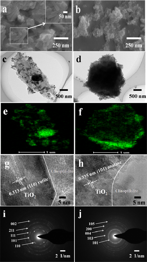 (a and b) SEM images, (c and d) TEM images, (e and f) Mapping of Ti, (g and h) HRTEM images, and (i and j) SAED images of rutile and anatase phases of TiO2 in RTZ6 (a, c, e, g, and i) and ATZ1 (b, d, f, h, and j), respectively.