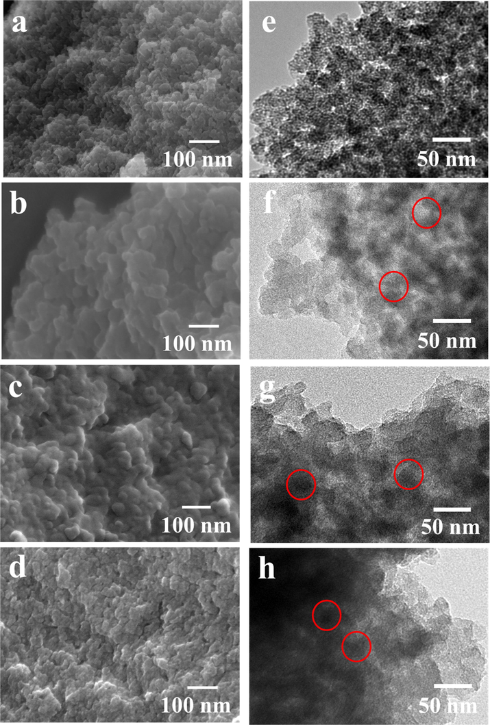 SEM images of (a) BMMs-MPS, (b) P@BMMs(7), (c) I/P@BMMs(7)-48, (d) I/P@BMMs(7)-48-24. The corresponding TEM images of (e) BMMs-MPS, (f) P@BMMs(7), (g) I/P@BMMs(7)-48, and (h) I/P@BMMs(7)-48-24 (the typical drug-released sample, taking I/P@BMMs(7)-48 after IBU releasing at 25 °C, pH 2.0 as example).