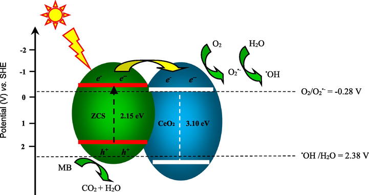 Plausible photocatalytic mechanism.