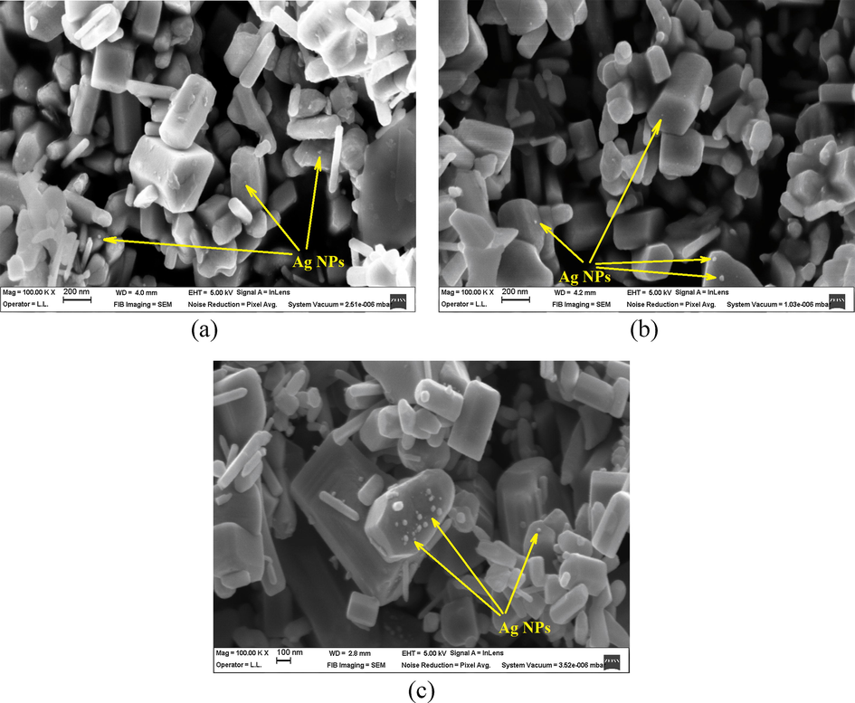 SEM micrographs of Ag—ZnO NPs of (a) NC1, (b) NC2, and (c) NC3 type.