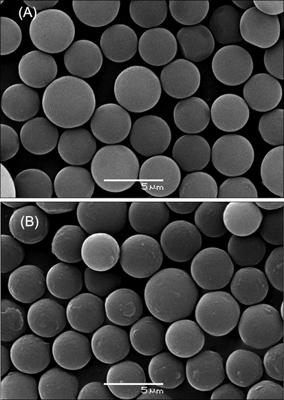 SEM micrographs of PGMA microspheres (A) before and (B) after laccase co-immobilization.