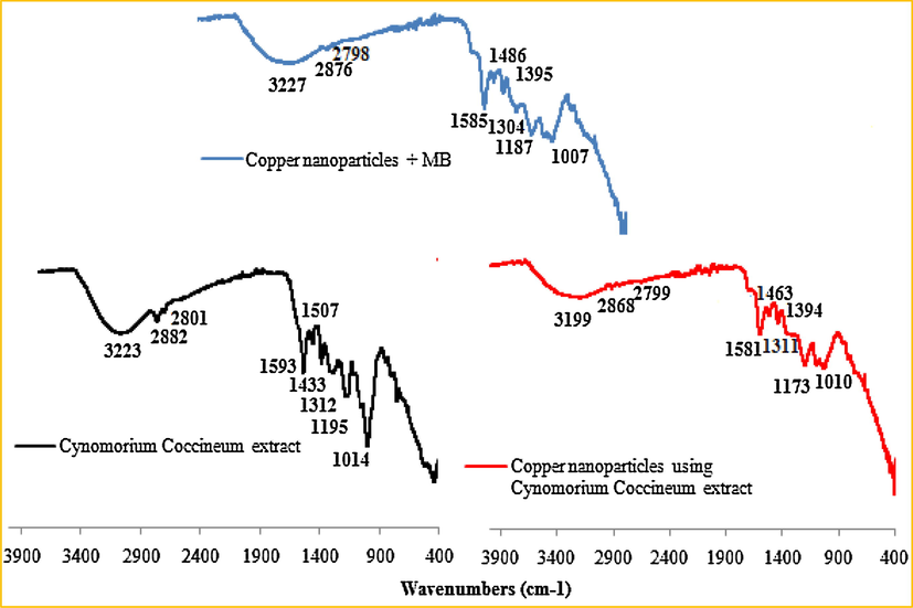 FT-IR spectrum of Cynomorium coccineum extract and their associated biological copper nanoparticles before and after their interaction with methylene blue dye.