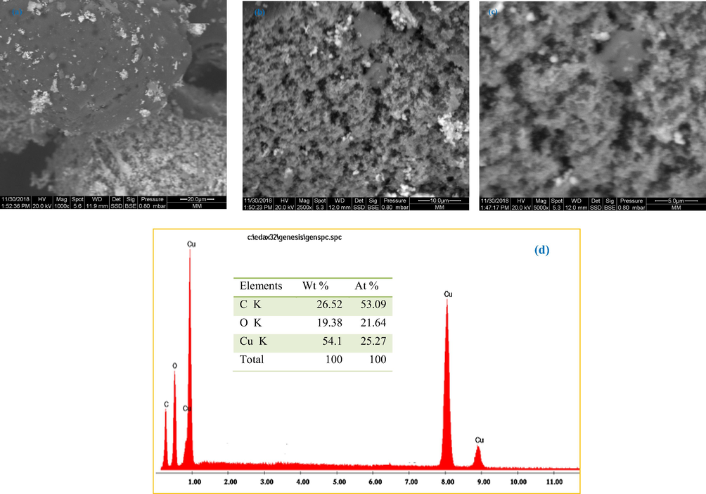 SEM images of copper nanoparticles synthesized using Cynomorium coccineum extract with different magnifications: (a) 1000×, (b) 2500×, (c) 5000×, and (d) the elemental analysis determined by EDX.