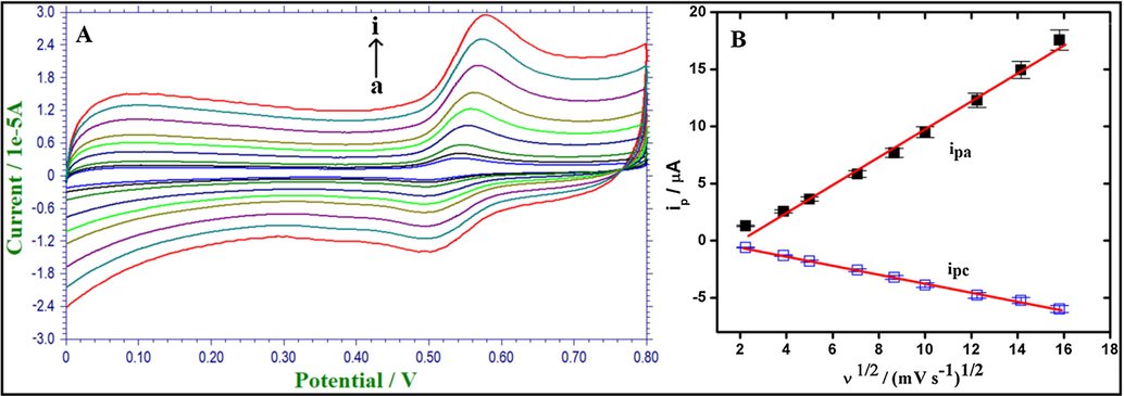 (A). CVs of 1 mM AC in 0.1 M PBS (pH 4.0) at various scan rates (5–250 mV s−1) at Fe2O3/RGO/GCE. (B). Calibration plot of the redox peak currents vs. square root of scan rate.