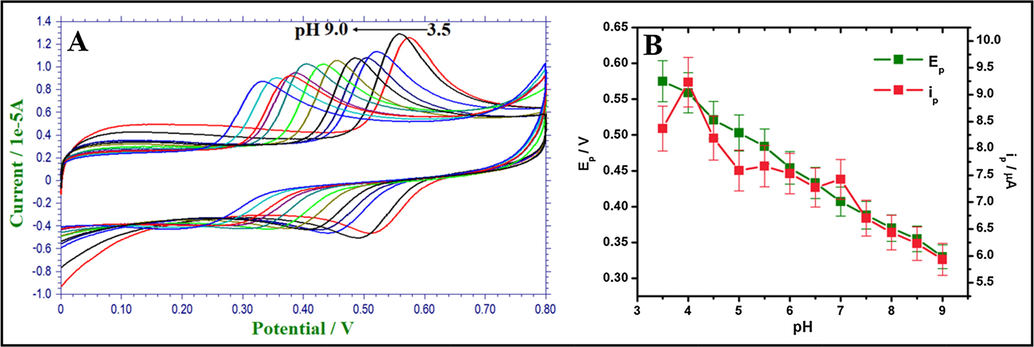 (A). CVs of AC at various pH. (B). The plot of ipa of AC vs. pH (3.5–9.0) and Epa of AC vs. pH (3.5–9.0) at a scan rate of 100 mV s−1.