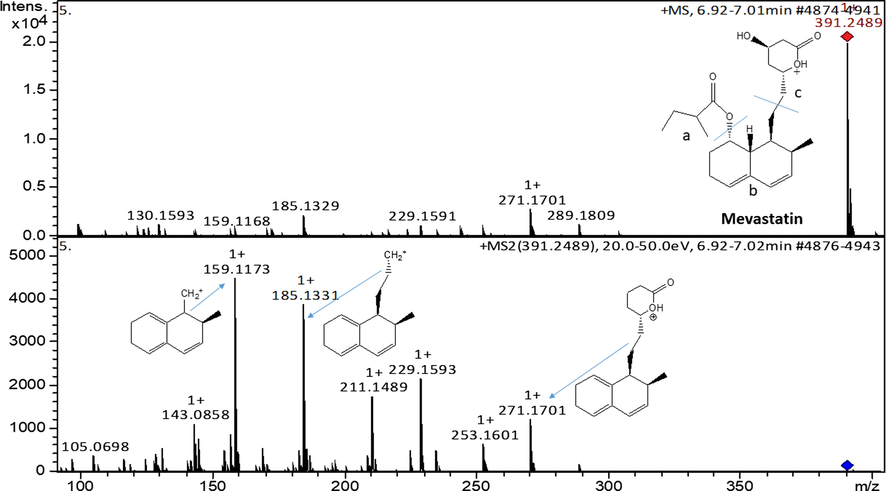 ESI-MS spectra of mevastatin and fragments at MS2.