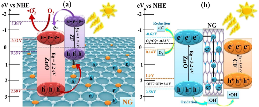 Mechanistic view of photocatalytic degradation of pollutants using (a) ZnO/ZF/NG and (b) ZnO/CF/NG nanocomposites.