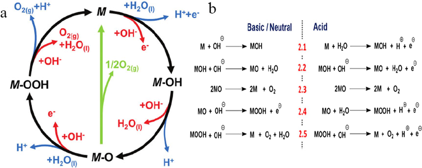 (a) The OER mechanism for acid (blue line) and alkaline (red line) conditions. The black line indicates that the oxygen evolution involves the formation of a peroxide (M-OOH) intermediate (black line). Reprinted with permission from Suen et al. (2017) copyright 2017, The Royal Society of Chemistry. (b) The scheme of proposed mechanism for OER. Reprinted with permission from Bandal et al. (2018) copyright 2018, Elsevier.