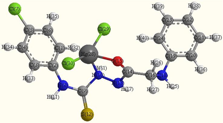 Optimized molecular structure of Hg complex (B7).