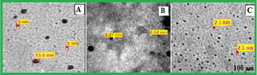 TEM micrograph of Pt NPs prepared with different mixtures of 4 ml of H2PtCl6 and Anbara extract (A) 4 ml (B) 5 ml and (C) 6 ml, after 7 h of addition at 25 °C.