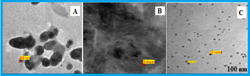 TEM micrograph of Pt NPs formed with different mixtures of 6 ml Anbara extract and 10−3 M H2PtCl6 stock solutions (A) 2 ml (B) 3 ml and (C) 4 ml, after 7 h of addition at 25 °C.