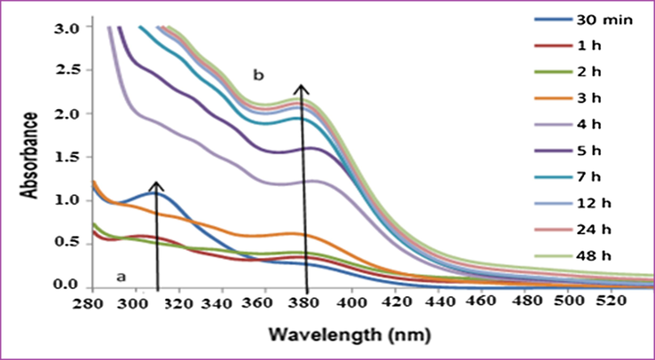 UV–visible absorption spectra of Pt NPs obtained with 4 ml H2PtCl6 solution and 6 ml of Anbara extract as a function of time at 25 °C.