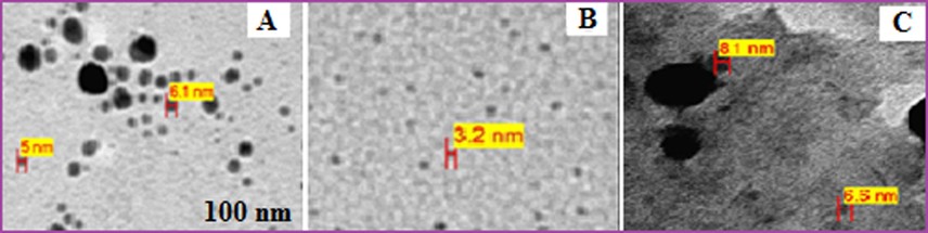 TEM micrograph of Pt NPs (4 ml of H2PtCl6 solution and 6 ml of Anbara extract) at different time (A) 4 h (B) 7 h (C) 11 h at 25 °C.