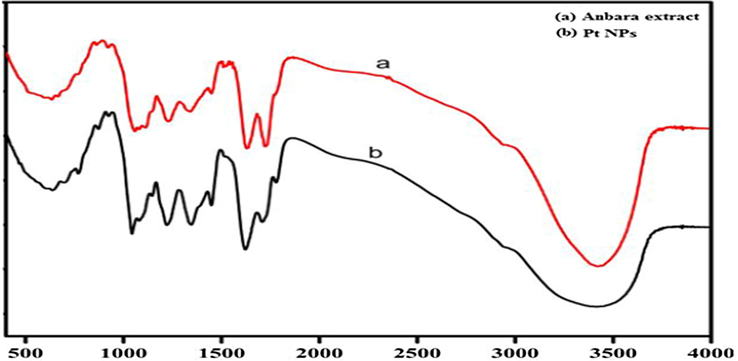 FTIR spectra of AAE and Pt NPs.