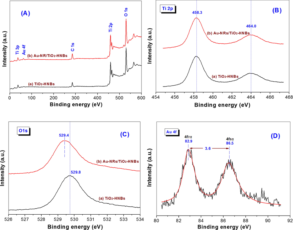 XPS survey spectra (A) and corresponding high resolution XPS spectra in Ti 2p (B), O 1s (C) and Au 4f (D) regions for pristine TiO2-HNBs and Au-NRs/TiO2-HNBs.