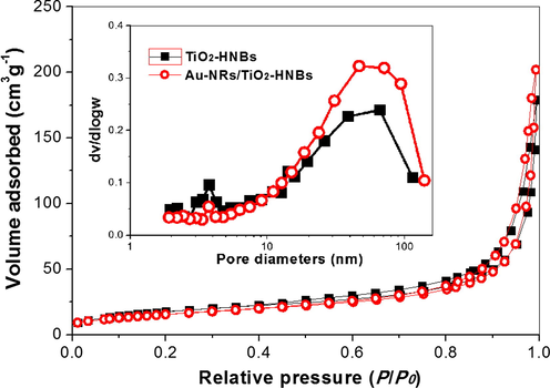 Nitrogen sorption isotherms and corresponding pore size distribution curves (inset) for TiO2-HNBs before and after loaded with Au-NRs.