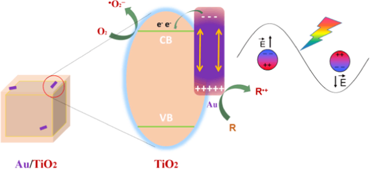 Proposed mechanism illustrating the SPR effect of Au on enhanced visible photoreactivity of Au/TiO2-HNBs hybridized photocatalyst.