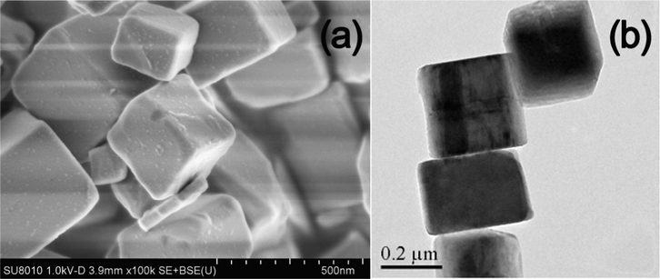 SEM (a) and TEM (b) images of TiOF2.