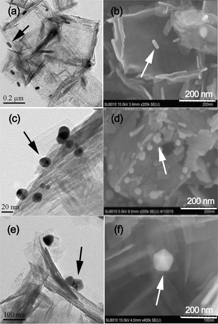 TEM and SEM images for Au-NRs/TiO2-HNBs (a and b), Au-NSs/TiO2-HNBs (c and d) and Au-NPs/TiO2-HNBs (e and f), and arrows indicating the presence of Au nanoparticles.