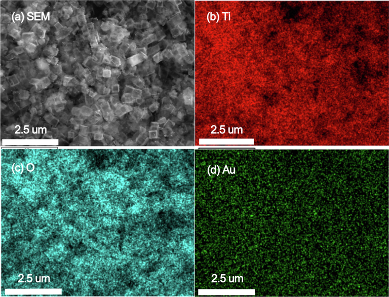 Elemental maps of Au-NRs/TiO2-HNBs.