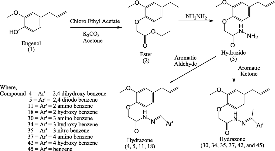 Synthesis of novel hydrazones.