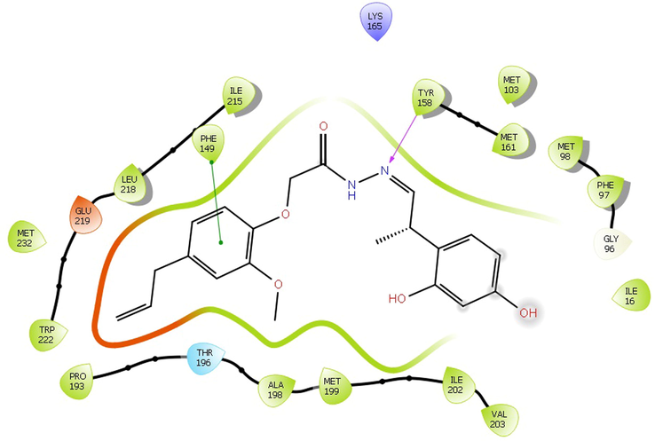 The Interaction between the compound 4 with the active site of PDB 2NSD.Abbreviation: PDB, protein data bank.