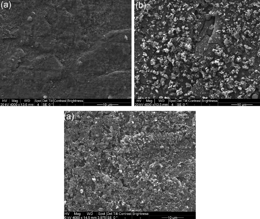 SEM images of the steel coupons after 10 days of burial in the 3 mm thick soil under various gassing conditions (a) N2; (b) air; (c) 5% CO2/N2.